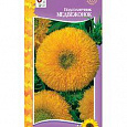 Подсолнечник  Медвежонок